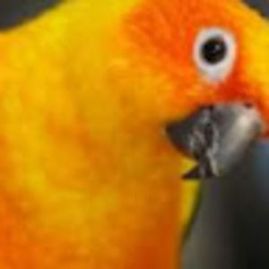 Meet your Posher, Vera